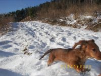 uciekam cho� nikt nie goni