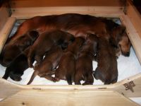 ciasno w tym jamniczym barze mlecznym