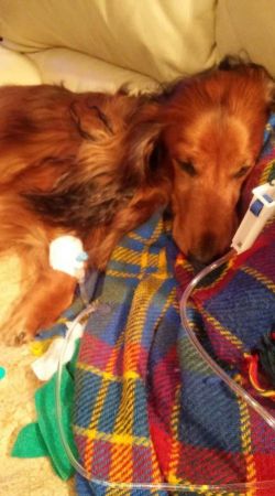  B�l i cierpienie...