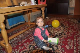 Jamnik d�ugow�osy