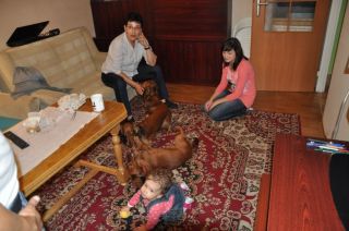 Jamnik d�ugow�osy