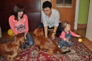 Jamnik d�ugow�osy