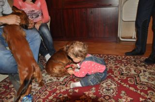 Jamnik d�ugow�osy