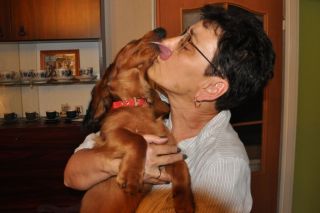 Jamnik d�ugow�osy