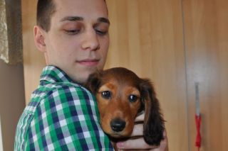 Jamnik d�ugow�osy NAILA