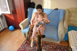 Jamnik d�ugow�osy