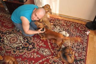 Jamnik d�ugow�osy