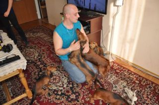 Jamnik d�ugow�osy