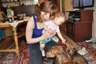 Jamnik d�ugow�osy