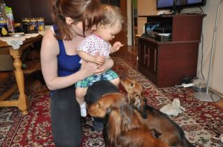 Jamnik d�ugow�osy