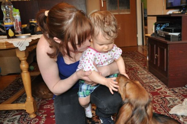 Jamnik d�ugow�osy