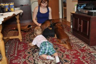 Jamnik d�ugow�osy